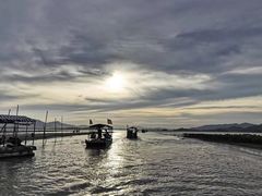-大亚湾红树林城市湿地公园