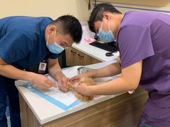 -萌兽医馆·犬猫专科·眼科中心·宠物医院(朝阳门分院)