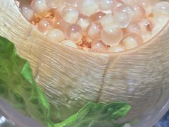 -春润大地海南椰子鸡(沙井京基百纳广场店)