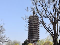 -西海子公园