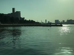 -台场海滨公园船码头