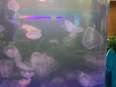 -佛山科学馆