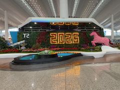 -广州白云国际机场-T2航站楼