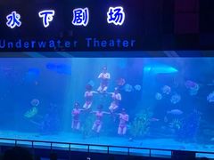 -泉城欧乐堡海洋极地世界