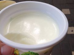 原味奶酪-田记宫廷奶酪