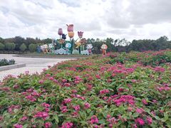 -上海鲜花港