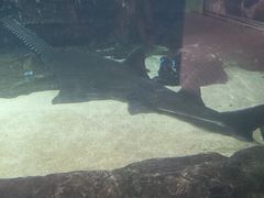 -厦门海底世界