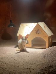 -酷嗒动物文化乐园(cutezoo西溪乐天城店)