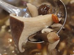 -珍品轩鲜菌火锅(眉山店)