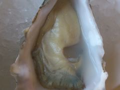-Oyster Talks 四度蚝法餐厅