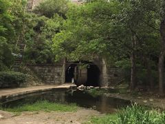 -白水寺森林公园