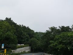 -龙井村