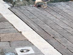 -大运河
