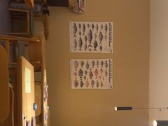 -镹·鱼料理  国产鱼使用店