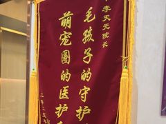 -宠爱国际动物医院·消化内科·心肾内科·ISFM猫友好(望京店)