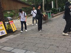 -野象谷景区