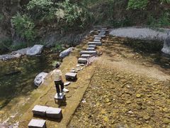 -牛背梁国家森林公园