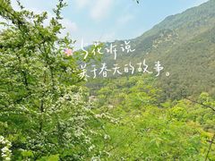 -缙云山景区