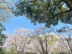 -老娘舅餐厅(黄龙体育中心店)