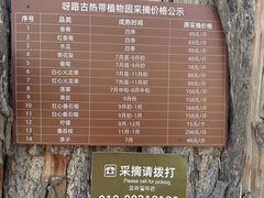 -呀路古热带植物园