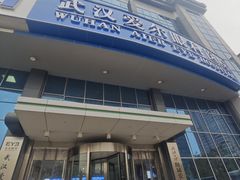 -武汉大学附属爱尔眼科医院(湖北总院)