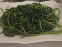 -华南师范大学石牌校区陶园