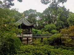 -申粤轩酒楼·三十年粤菜经典(丁香花园店)