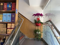 -洞庭家宴·头牌甲鱼(广渠门店)