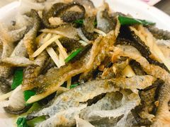 姜葱凉拌鱼皮-禄源公·老莞诚饭店