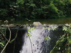 -鹿院坪生态旅游景区