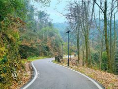 -青龙山国家森林公园