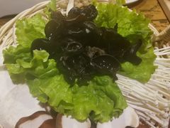 -东道煮牛肉火锅(东盛大街店)