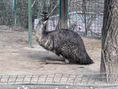 -青藏高原野生动物园
