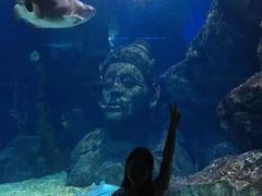 -暹罗海洋世界
