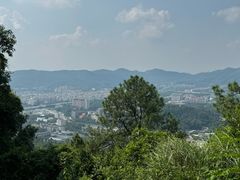 -火炉山森林公园