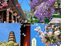 -晋祠博物馆