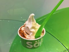 -Salud撒露欧洲冻酸奶(蓝色港湾店)