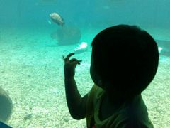 -北戴河圣蓝海洋公园