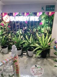 -尚艺造型.剪烫染.接发