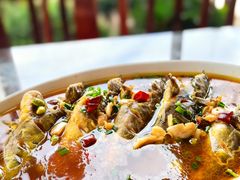 -呼吸森林·生态农庄农家乐私房菜