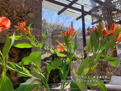 -MOJ coffee(瓯海泽雅水碓坑店)