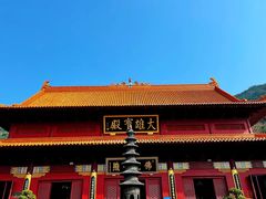 -深圳仙湖植物园