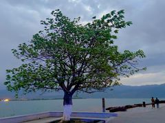 -西昌邛海湿地