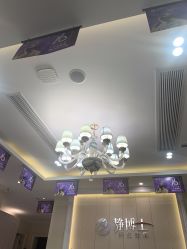 -静博士·养生养颜