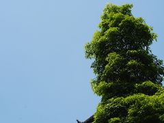 -房湖公园