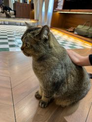 -优刻西服西装定制(金轮国际广场店)