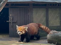 -云南野生动物园