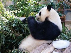 -泉州海丝野生动物世界