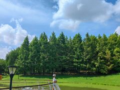 -法华学问寺-停车场