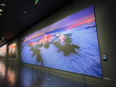 -罗红摄影艺术馆